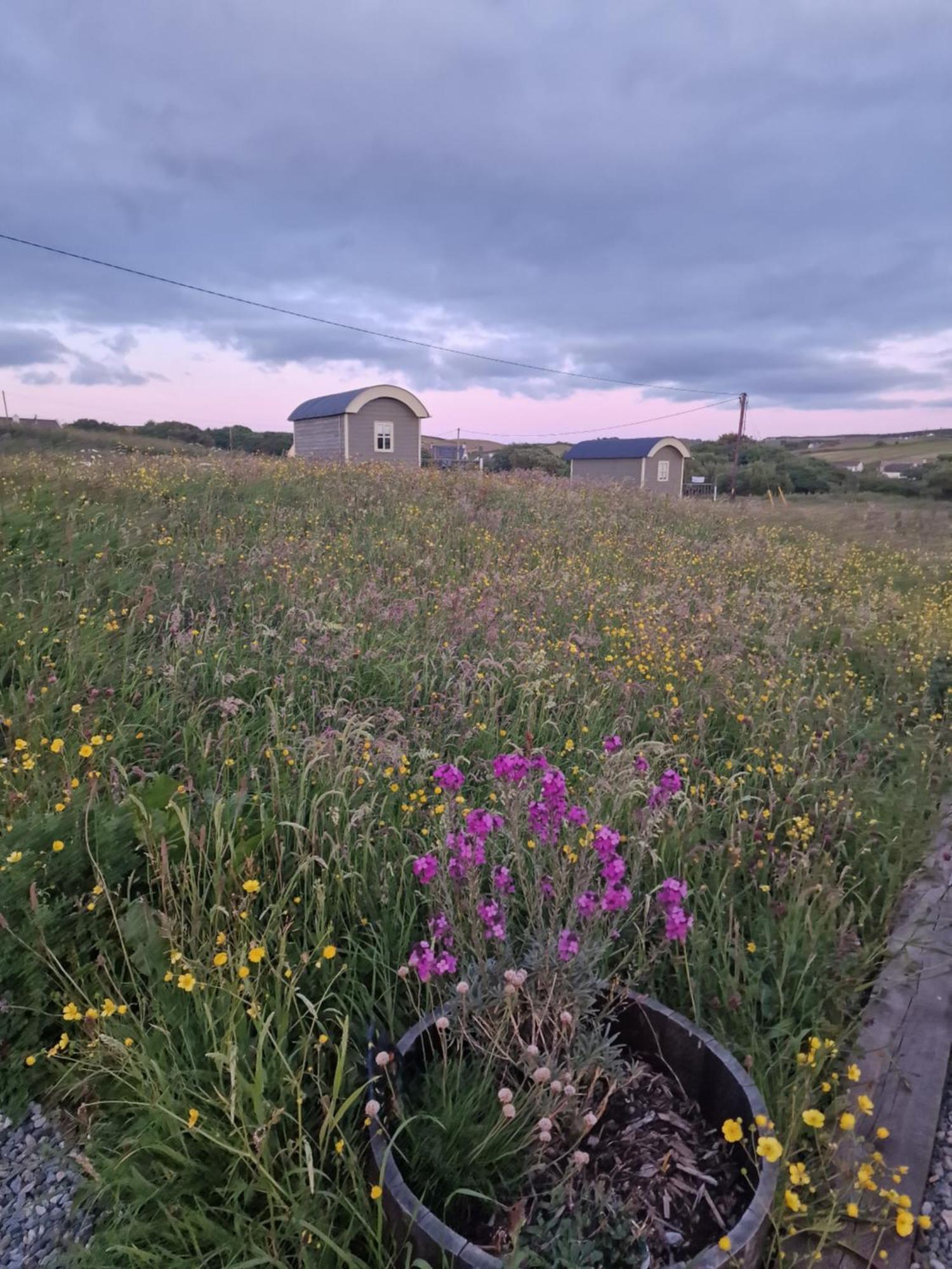 Villa Wild Meadow Huts Doolin Exterior foto